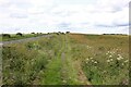 NZ0668 : Towards East Wallhouses on Hadrian's Wall Path by Jeff Buck