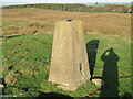  : Hindon Hill and its Triangulation Pillar by Peter Wood