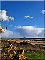 TM4767 : View over Minsmere towards Sizewell by Christopher Hilton