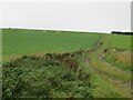 NT7559 : Upland pasture in The Scottish Borders by M J Richardson