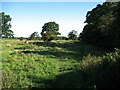 NY3745 : The Cumbria Way, Rose Bridge by Adrian Taylor