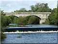 SE4843 : Tadcaster railway viaduct  1 by Alan Murray-Rust