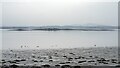 J5569 : Strangford Lough by Rossographer