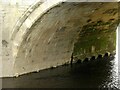 SE4843 : Tadcaster Bridge, under the arches by Alan Murray-Rust