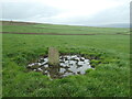 SE0450 : Boundary marker, Addingham Low Moor by Christine Johnstone