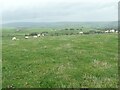 SE0550 : On the gentle summit of Counter Hill by Christine Johnstone