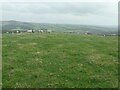 SE0550 : Sheep on the summit of Counter Hill by Christine Johnstone