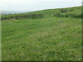 SE0550 : Round Dikes, Counter Hill, north-west side by Christine Johnstone