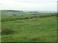 SE0550 : Round Dikes, Counter Hill, north-east side by Christine Johnstone