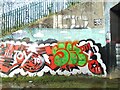 SE3118 : Horbury Underpass of Graffiti by Phillip De-Vere