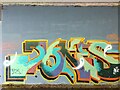 SE3118 : Horbury Underpass of Graffiti by Phillip De-Vere