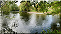 SD2296 : Confluence of Tarn Beck with the River Duddon by Mick Garratt