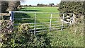 NY3352 : Gateway to field with cows  on west side of minor road north of Baldwinholme by Luke Shaw