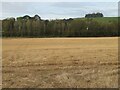 NT4932 : Stubble field at Tweed Bridge by M J Richardson