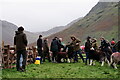 NY1808 : Wasdale Show 2023 by Peter Trimming