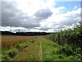 NZ3454 : Field path at Flinton Hill by Robert Graham