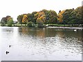 SE2141 : Birds on Yeadon Tarn by Stephen Craven