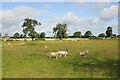 NZ0471 : East Matfen medieval village and open field system (site of) by Jeff Buck