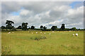 NZ0471 : East Matfen medieval village and open field system (site of) by Jeff Buck