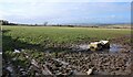 NO0423 : Muddy field, Gloagburn Farm by Richard Sutcliffe