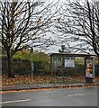 ST3090 : Fallen leaves near a Bettws Lane bus stop and shelter, Newport by Jaggery