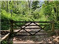 SO5291 : Cross Britain Way at Roman Bank, Wenlock Edge by Mat Fascione