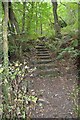 SN1944 : Woodland footpath steps by River Teifi by Rod Grealish