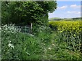 SO5493 : Farmland on the edge of Longville Coppice by Mat Fascione