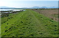 SH4458 : Wales Coast Path on the sea defences at Foryd Bay by Mat Fascione