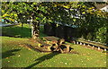 SX8965 : Picnic table, Torbay Hospital by Derek Harper