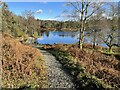 SD3299 : Public footpath, Tarn Hows by Adrian Taylor