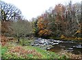 NZ0852 : Autumn scene on the Derwent by Robert Graham