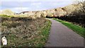 SE1638 : Leeds and Liverpool Canal path approaching overhead power lines by Roger Templeman