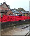 ST3099 : Red poppies alongside The Highway, New Inn, Pontypool by Jaggery