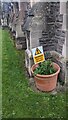 ST5585 : Warning in a flowerpot, Pilning, South Gloucestershire by Jaggery