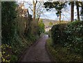 SO4593 : Jack Mytton Way in Church Stretton by Mat Fascione