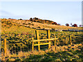 NZ1925 : Low-angled sunshine illuminating slope by Trevor Littlewood