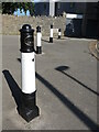 SZ0378 : Belle Vue bollards by Neil Owen