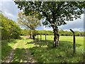 SJ8540 : Track leading up to Kingswood Bank by Jonathan Hutchins