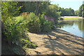 SX8061 : By the Dart below the weir by Derek Harper