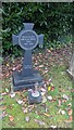 ST5598 : Clay-Jones headstone, Tidenham Chase, Gloucestershire by Jaggery