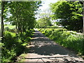 NY1074 : Road near Leafield by Adrian Taylor