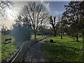 TQ3204 : Path through Queen's Park, Brighton by Mat Fascione