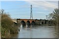 SK6339 : River Trent railway viaduct near Colwick by Alan Murray-Rust