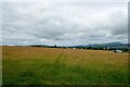 SO3487 : Footpath near Oakeley Mynd by Jeff Buck