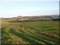 NT0748 : Cultivation terraces on Dunsyre Hill by Alan O'Dowd