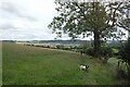 SO3386 : Footpath to Mears Barn by Jeff Buck