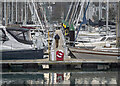 J5082 : Bangor Marina by Rossographer