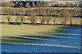 NT2438 : Spiky tree shadows, Bonnington by Jim Barton