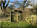 SD4078 : Gate near High Farm by Adrian Taylor